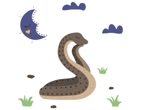Sognare serpenti: significato, interpretazioni e numeri lotto